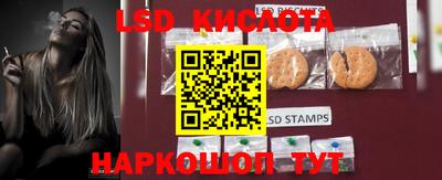 ГАЛЛЮЦИНОГЕННЫЕ ГРИБЫ Новозыбков