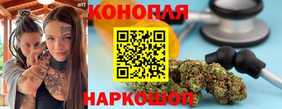 прущие грибы Обь
