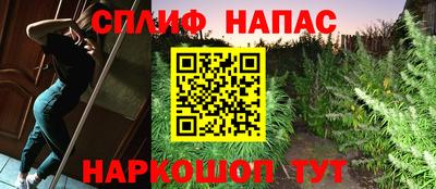 ГАЛЛЮЦИНОГЕННЫЕ ГРИБЫ Новозыбков