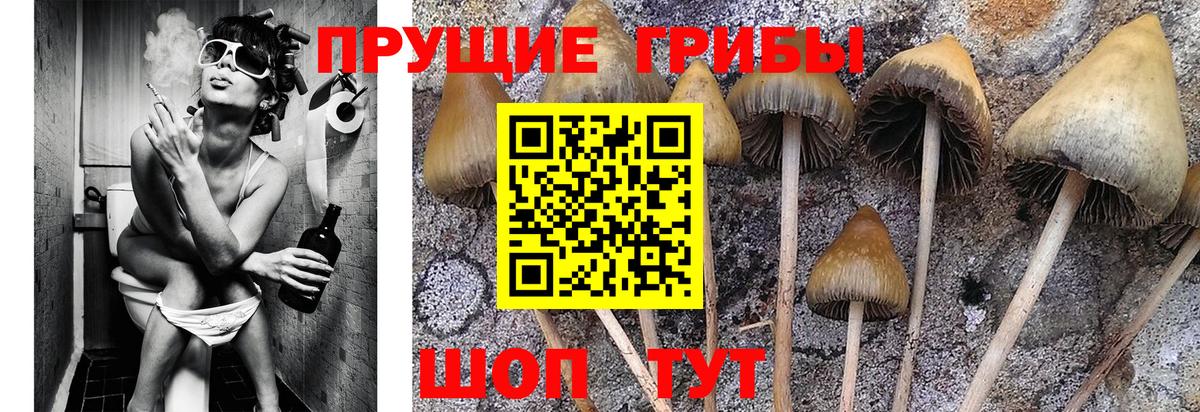 Галлюциногенные грибы ЛСД  купить закладку  Соль-Илецк  Вход с VPN 