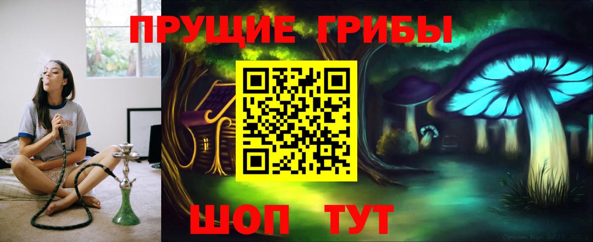 Галлюциногенные грибы Magic Shrooms Соль-Илецк